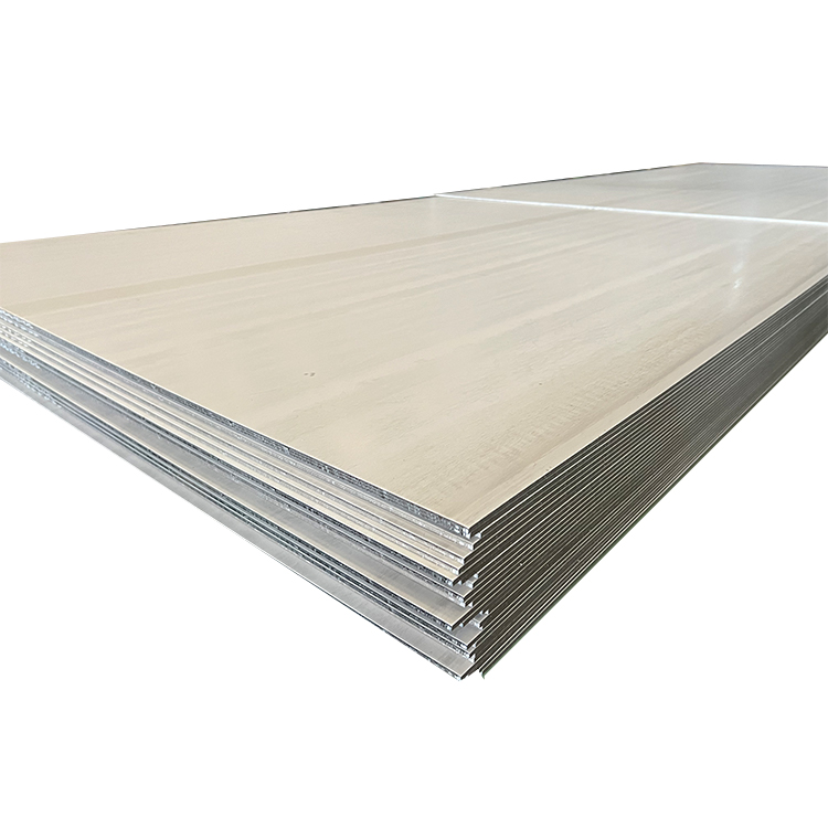 Stainless Steel Plate